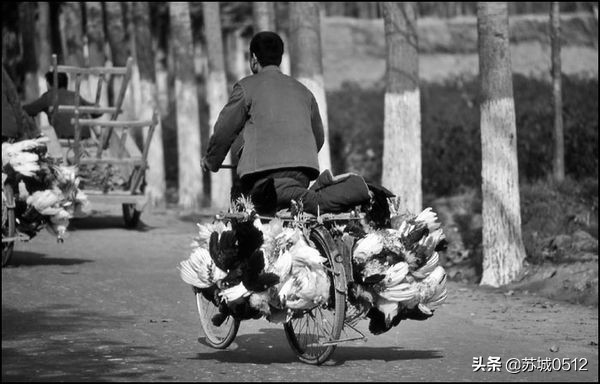 走在80年代的大街上(送给还有80记忆和90后的朋友)-2