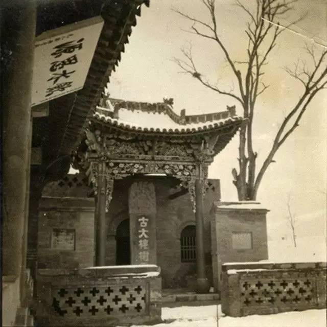 山西老鹳窝大槐树移民,大槐树上的老鹳窝