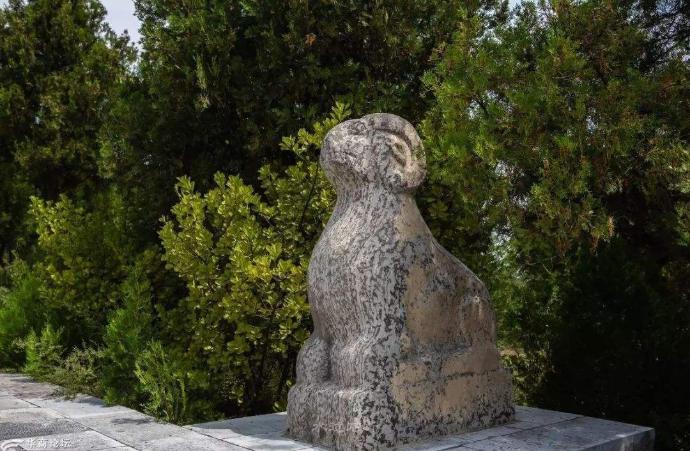 唐昭陵韦贵妃墓考古资料公布,唐昭陵韦贵妃墓被谁盗了