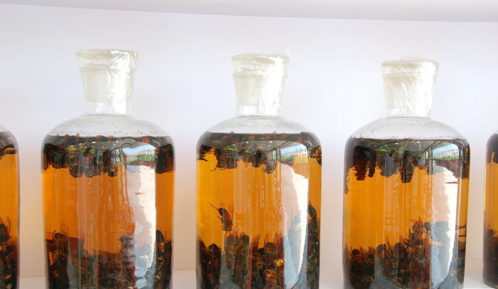 补肾药酒要会泡才是药酒,补肾壮阳的药酒一次喝多少好