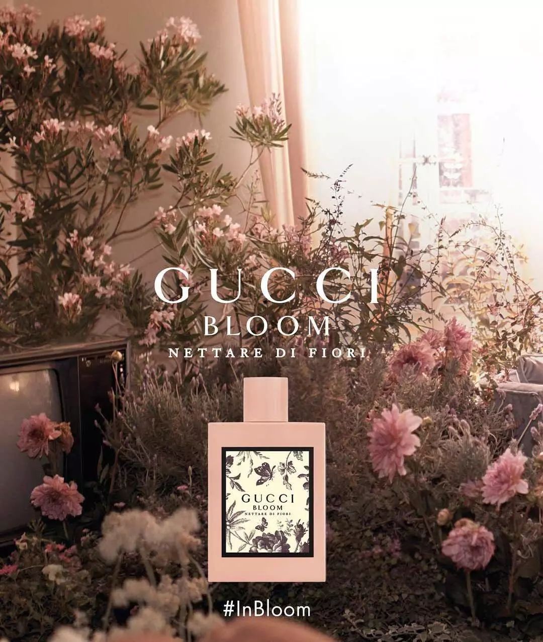 大牌香水推荐miumiu,大牌平价香水爱马仕