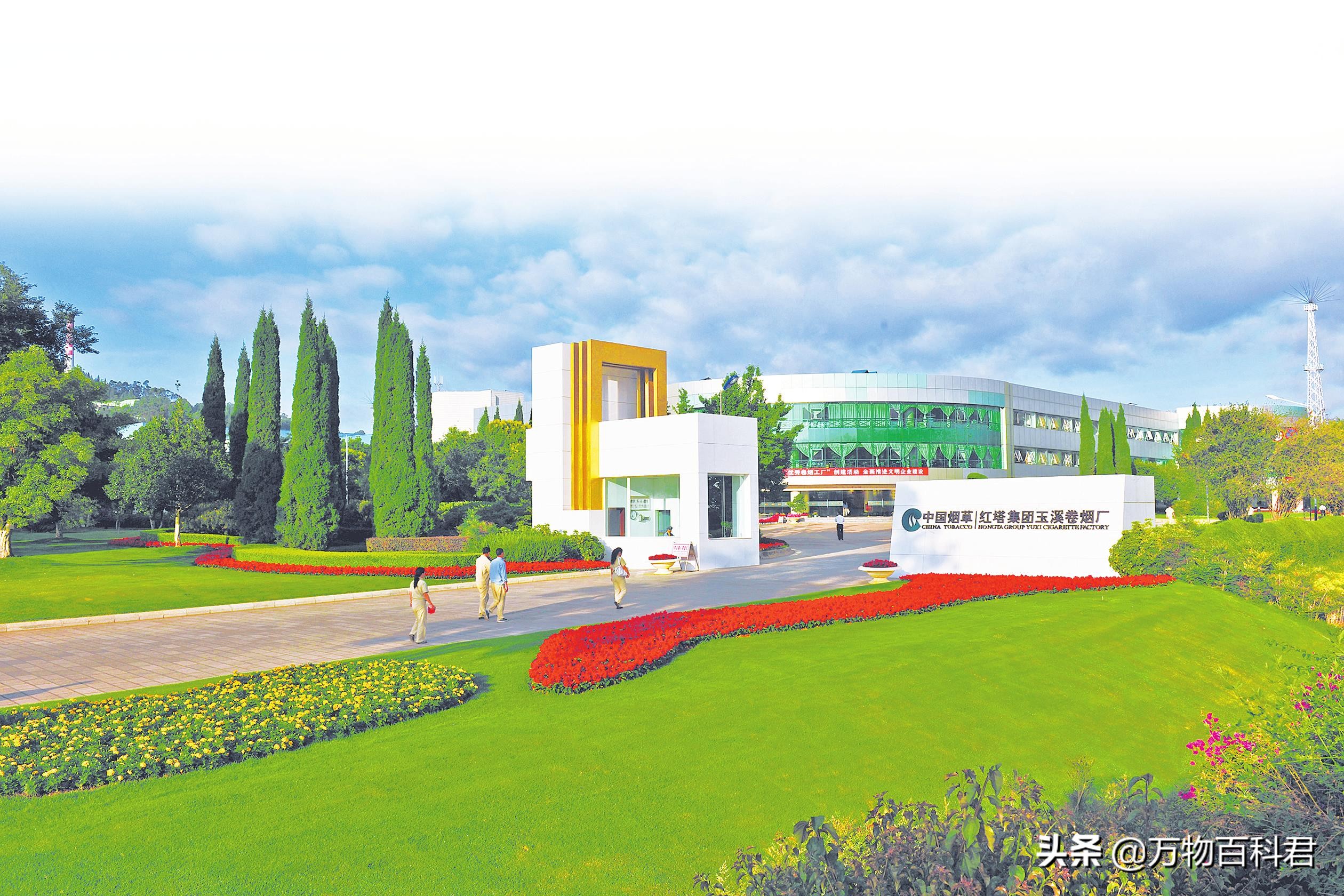 中国卷烟厂收入排名,中国各地卷烟厂销售额排名