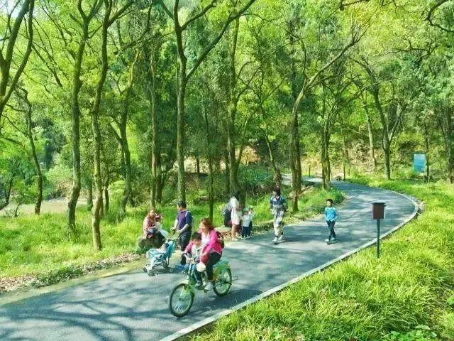 一场穿越千年的汉服旅游,五一旅行指南梦回大唐汉服