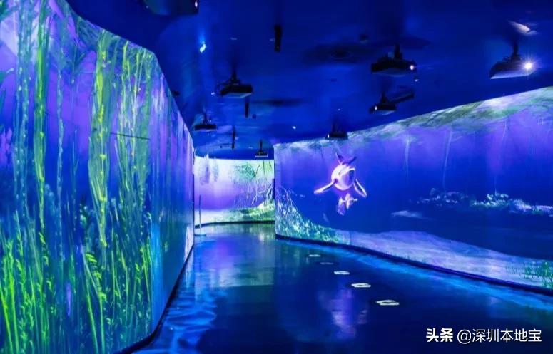 深圳适合亲子游玩最佳地方推荐,深圳周边亲子游玩地方推荐