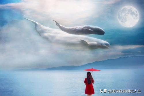 一本让人受益无穷的书,一本对人生启发的书