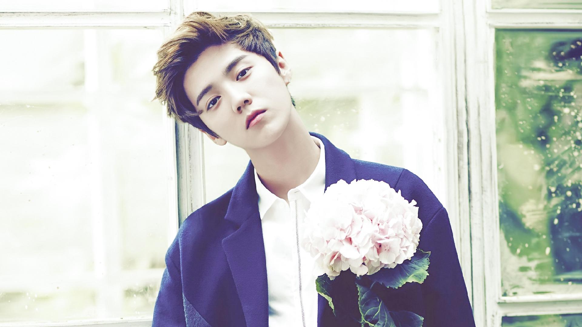 鹿晗官宣后和关晓彤同框,关于鹿晗和关晓彤的合影