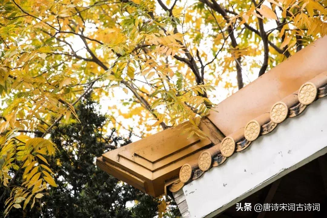 爱情最美丽的样子，都能在诗词里，找到最美的归宿