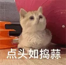 苹果再出手信号问题,苹果信号最新消息