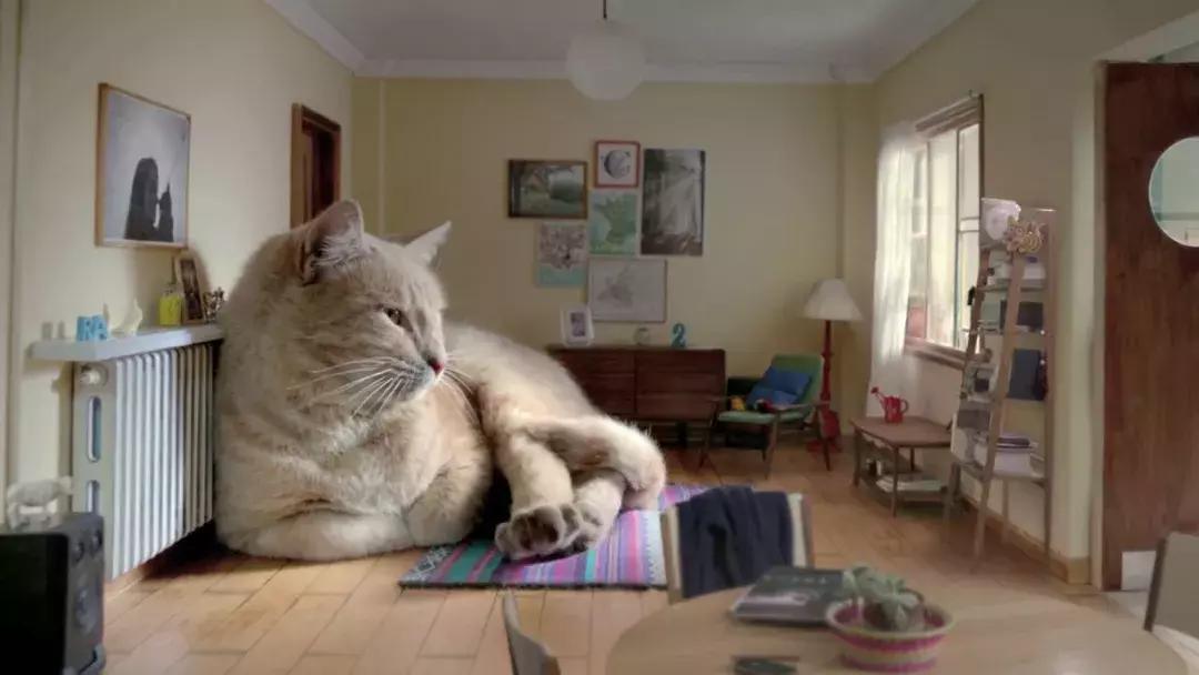 那些让你意想不到的广告创意,创意广告怎么做才能吸引人