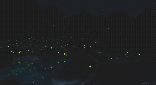 酷暑知了声声入耳,大暑知了叫