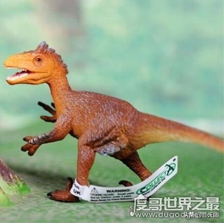 恐龙最凶猛前十名,有些恐龙凶猛异常