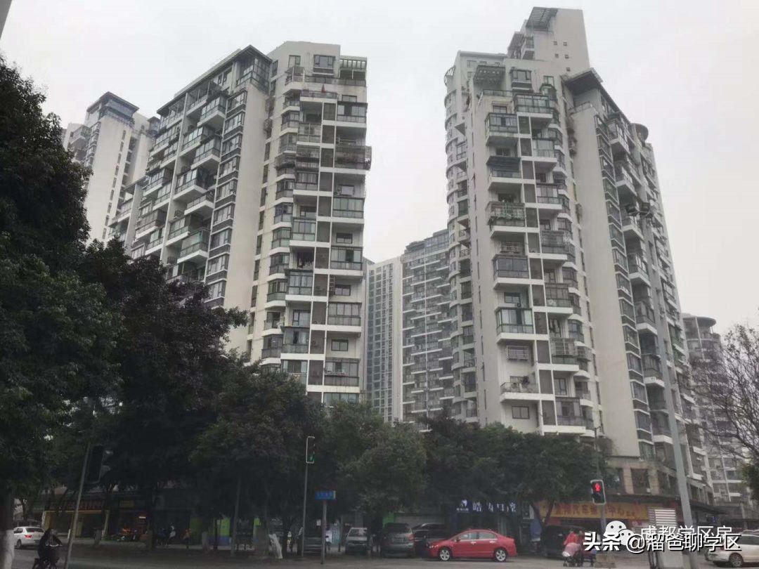 石笋街和茶店子小学怎么选,茶店子小学vs石笋街小学选哪个