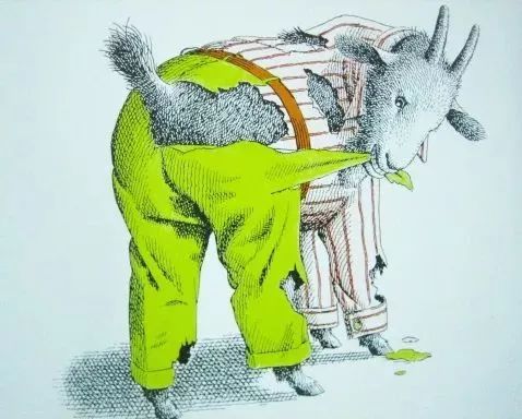 绘本推荐|《动物绝对不应该穿衣服》超级搞笑又有创意的绘本