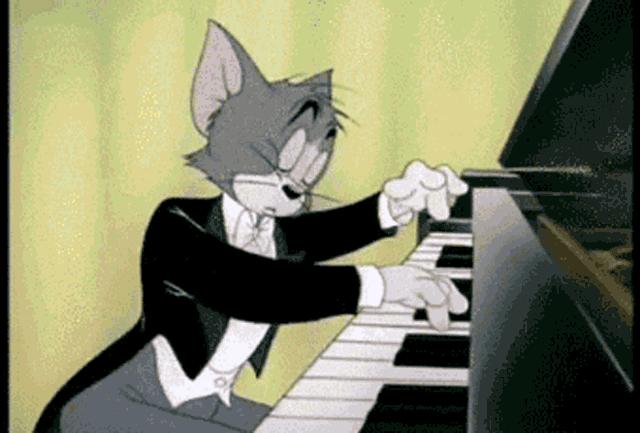 吸猫的技巧视频,吸猫的正确打开方式