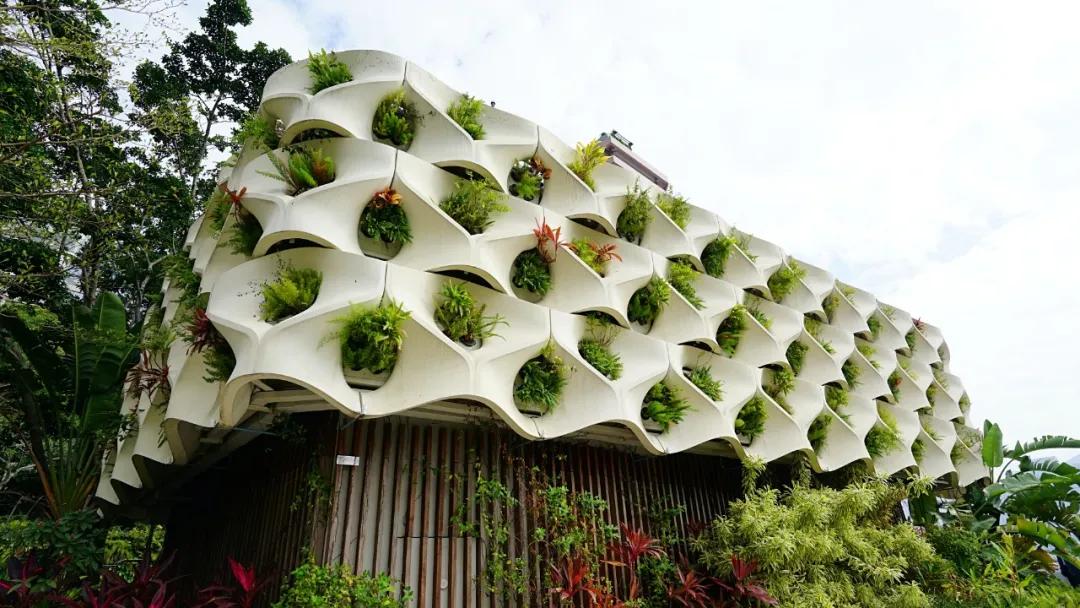 香港最大商场购物实拍视频,香港顶级商场视频