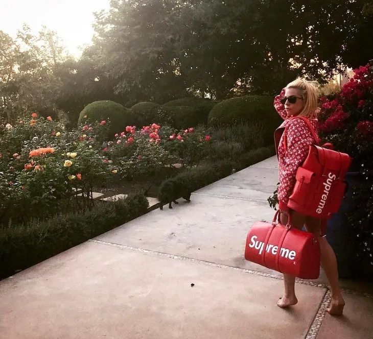 拜托了衣橱谢娜模仿陈乔恩,拜托了衣橱为什么没有第二季