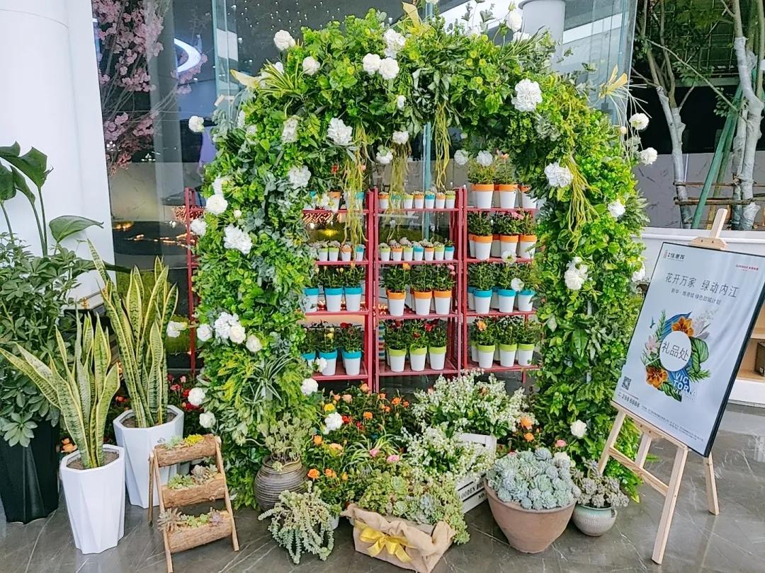 免费领！新华·维港城“绿色甜城”计划，业主免费领绿植