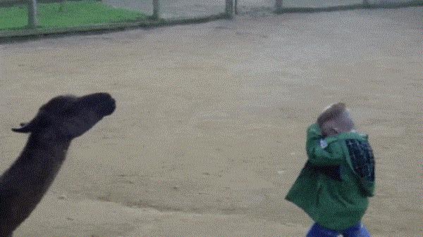 沉迷虚拟世界的危害,沉迷我的世界游戏的危害