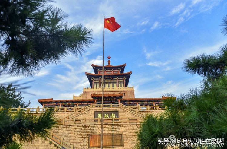 济南秋天的法国梧桐,济南一颗梧桐树