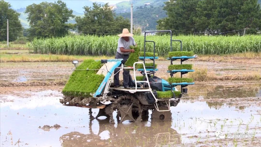 福建省农机促春耕,我市农机具助力春耕生产