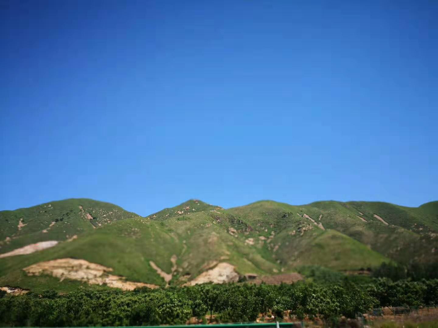 乔布斯买糖水片段,乔布斯经典语录欲望