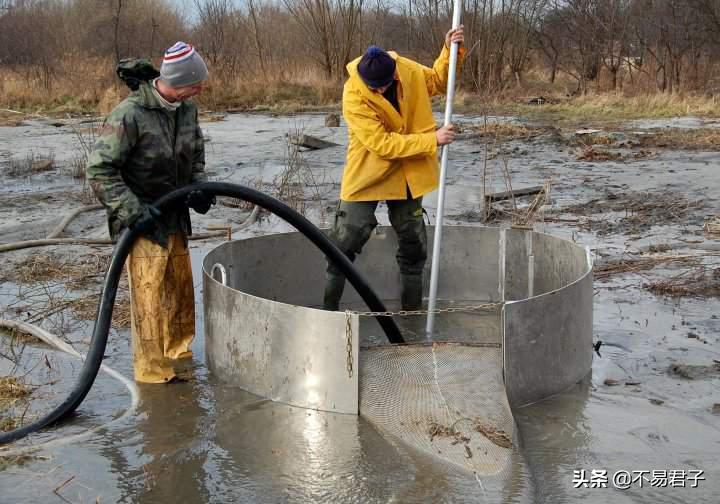 美丽背后更多是辛酸,美丽背后的辛酸