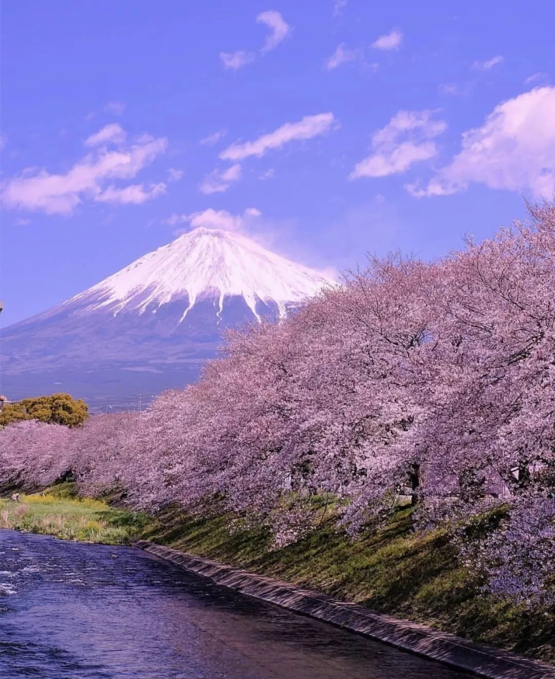 匡威帆布鞋购物攻略,匡威购物攻略