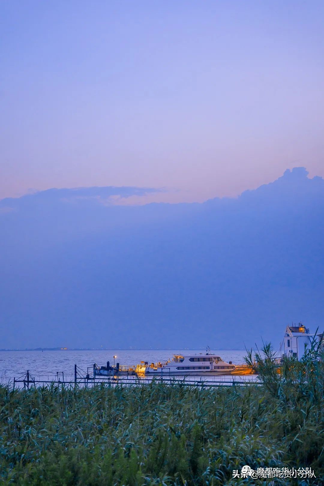 崇明岛地理位置独特,崇明岛过度开发