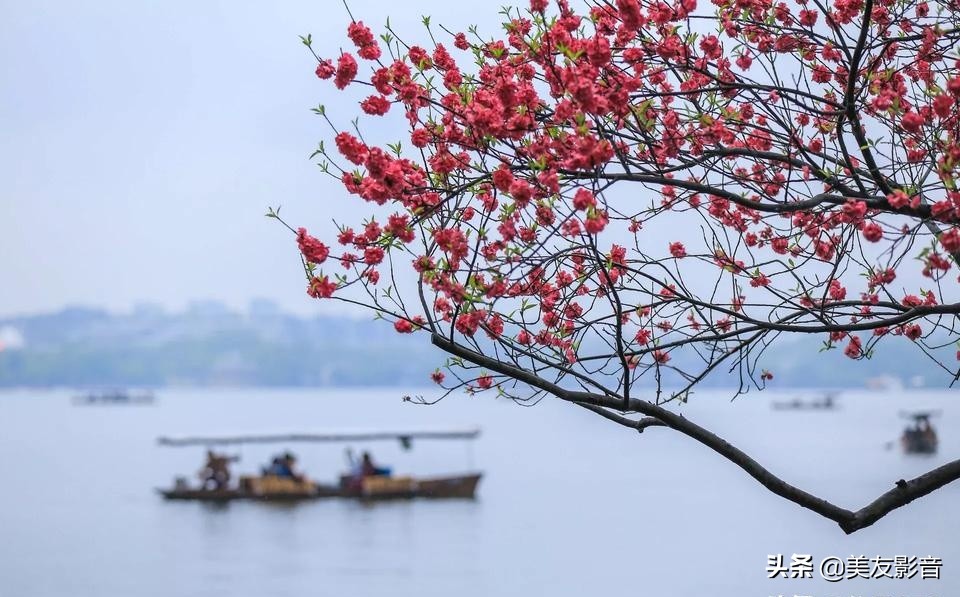 成语的误用类型有哪些,人民日报整理易错的四字成语