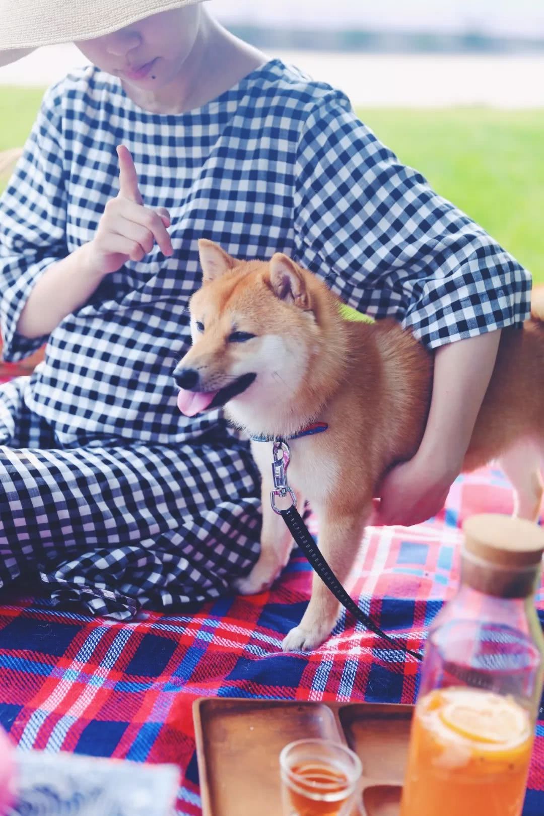 孕期怎么补营养,孕期都该补什么