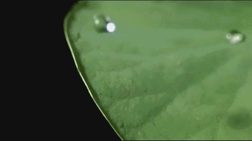 最牛逼的不粘锅无涂层,自己打造无涂层锅