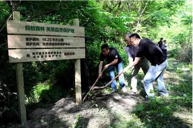 蚂蚁森林是国家出钱还是马云出钱,马云的蚂蚁森林现在进展怎么样了