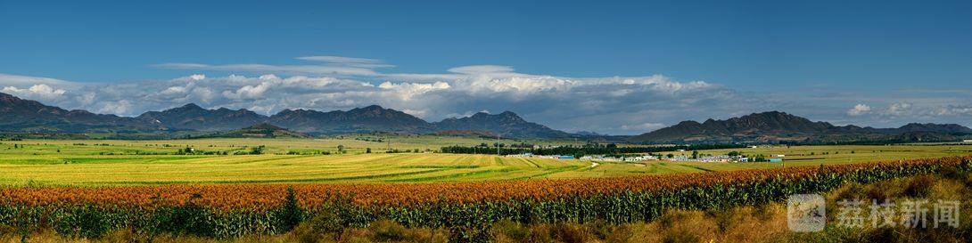 百乡千村调研活动,百县千镇万村高质量发展调研表