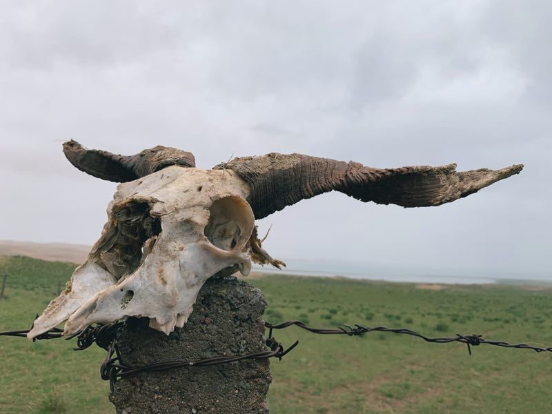 绗洓灞婃垐澹佹矙婕犲緬姝ユ寫鎴樿禌,2022绗崄灞婂崈浜烘垐澹佸緬姝ユ寫鎴樿禌