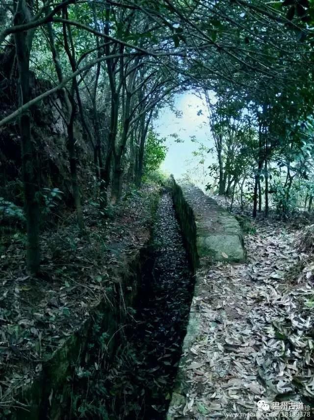 温州茶山卧龙潭,温州卧龙峡风景区