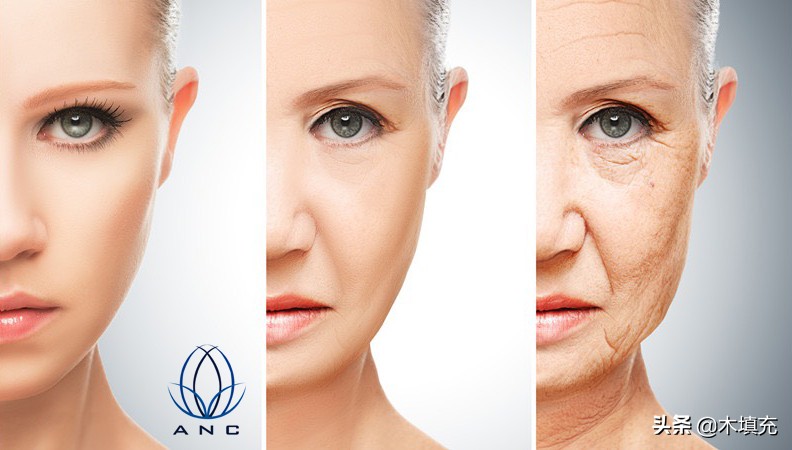 燕窝胶原蛋白肽知识科普,胶原蛋白肽健康科普