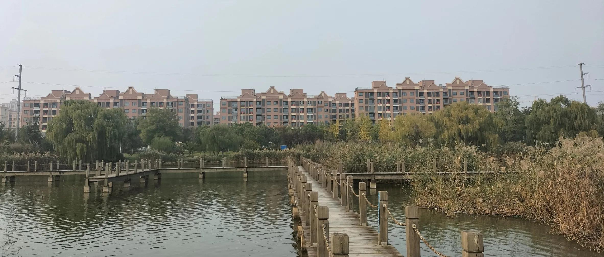 红杏24集,红杏品种