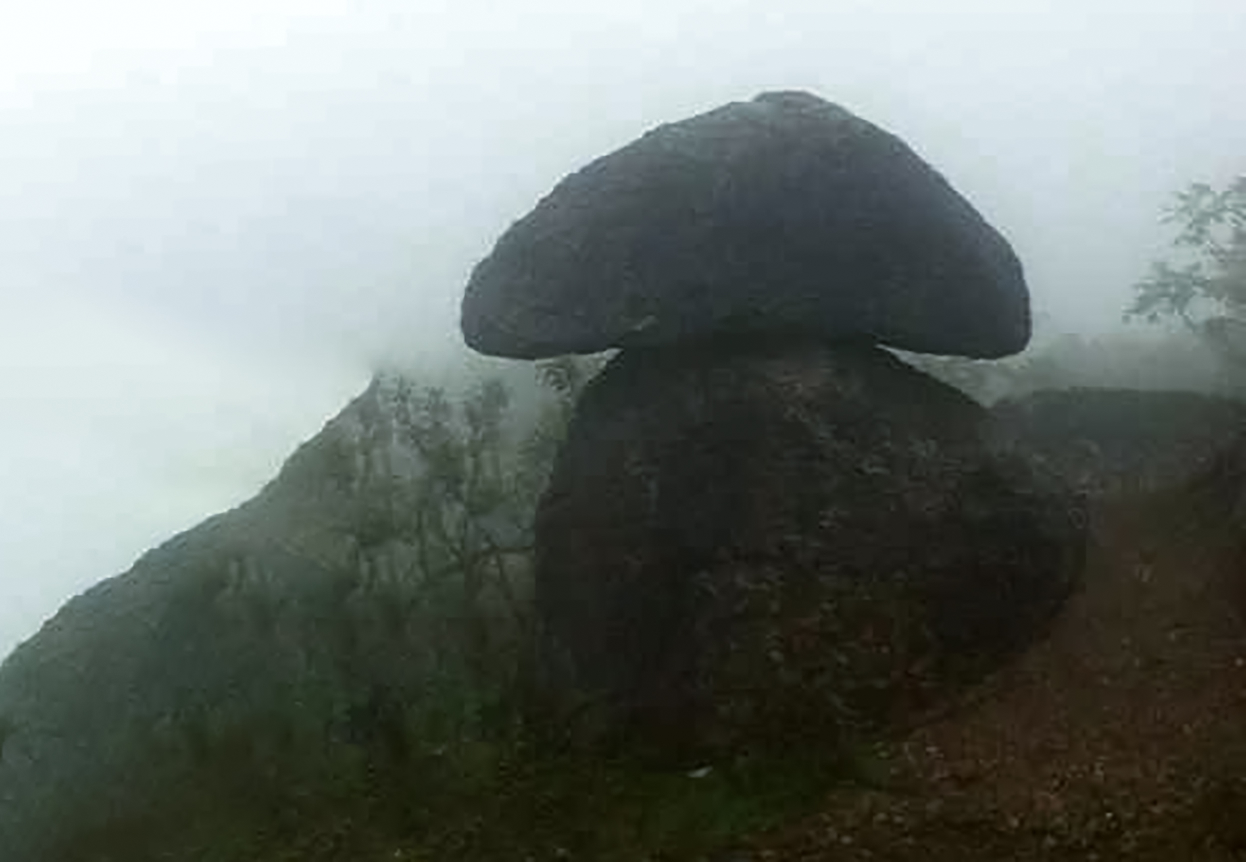 江西海拔最高寺庙,江西宁都弥陀古寺