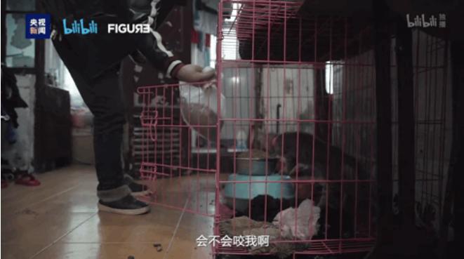 签生死协议书,生死协议书武汉