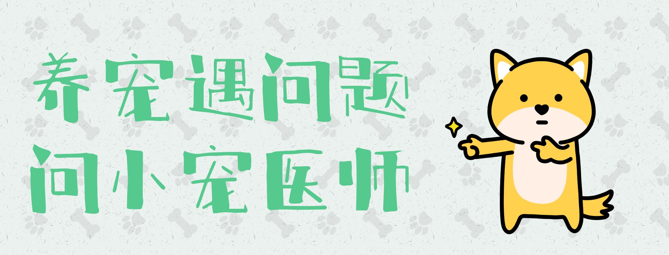 先洗澡还是先驱虫？为什么用了驱虫药还被虫咬？宠物医师给你答案