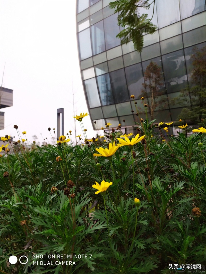 骁龙660红米note7发布会,红米note7王者最高画质能玩多久