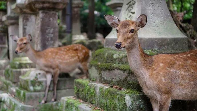你与月薪10万的人差距只有一点,年薪10w和年薪100w的人差在哪里