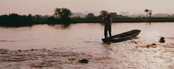 长途运输的鱼怎么入缸,活鱼在长途运输中该如何做