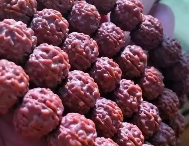 小金刚菩提深度清理,小金刚菩提怎么清理才干净