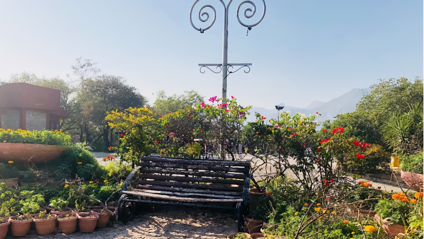 中国人去巴基斯坦有哪些优待,中国人去巴基斯坦旅游会被优待吗