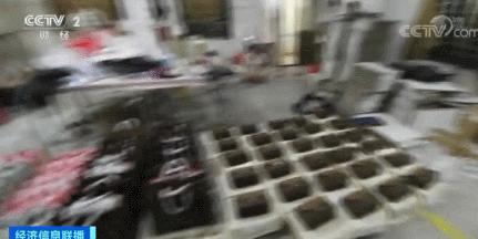 很少有假货的名牌包 (你代购的名牌包可能是真的吗)