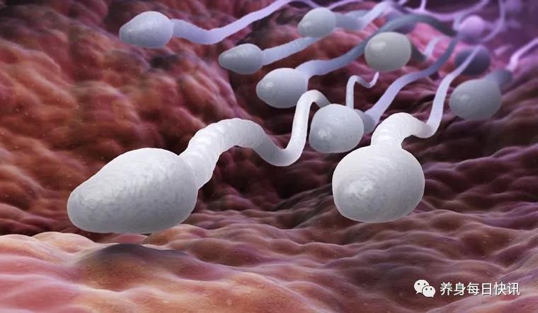 梦遗在什么情况下会发生,梦遗什么情况下会发生