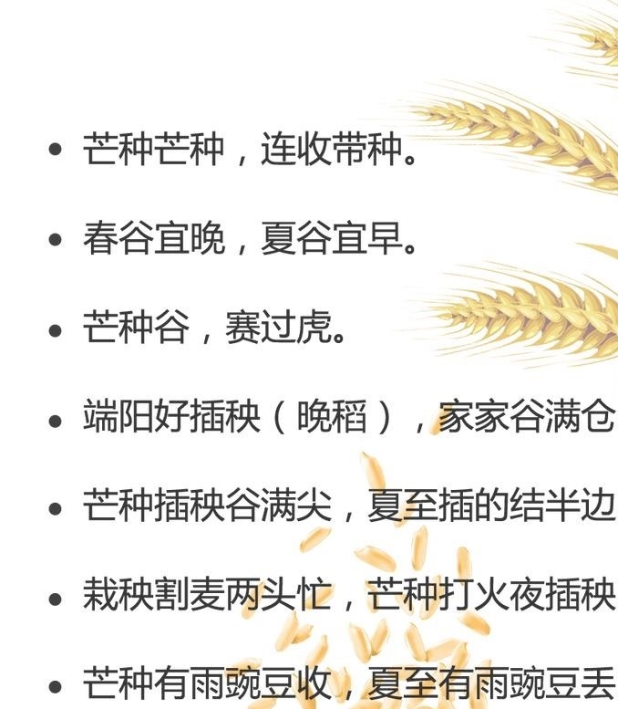 24节气有哪些请写出来,24节气有哪些乐器