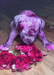 小萝莉搞笑图片,搞笑gif我知道你是个妹子