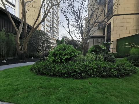 青剑湖新楼盘即将开盘,青剑湖新楼盘最新消息